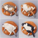 Fat Fluffy Cat Sleeping On Round Mat Figurine