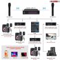 PRO UHF Wireless Microphone Dual Handheld 2X Mic Cordless Receiver