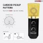 5 Core Premium Pro Audio Condenser Recording Microphone Podcast Gaming Studio Mic RM 5 BG