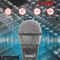 5CORE Premium Vocal Dynamic Cardioid Handheld Microphone Unidirectional Mic PM 600
