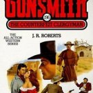 The Gunsmith Ser.: The Counterfeit Clergyman by J. R. Roberts (1998, Mass...