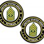 Veteran E8 Army 1ST SGT Veteran Set of 2 Coaster Set of 2 Coaster Car Cup Holder