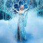 FROZEN: THE HIT BROADWAY MUSICAL (2025) DVD MOVIES SHIPPING FREE