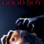 GOOD BOY (2025) DVD MOVIES SHIPPING FREE