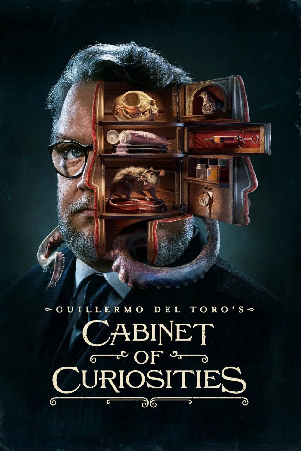 Cabinet of Curiosities TV Series (DVD) 2022Free Shipping - Season 1