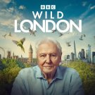 WILD LONDON DVD MOVIE (2026) SHIPPING FREE WILD LONDON DVD MOVIE (2026) SHIPPING FREE