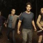 Teen Wolf TV Series (DVD) 2011-2017 Free Shipping Seasons 1/2/3/4/5/6