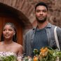 You, Me & Tuscany (Italianna) (DVD) 2026 MOVIE SHIPPING FREE