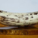 CUSTOM REALISM ART FAUX PREHISTORIC ELEPHANT TUSK WOOD CARVING 28" ON TRIANGLE GOLDEN OAK BASE