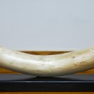 REALISM FAUX ART PREHISTORIC ELEPHANT TUSK WOOD CARVING 34" EBONY WOOD BASE