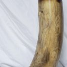 PREHISTORIC Rhino Horn Replica Custom ART 16" Realism MADE FROM WOOD