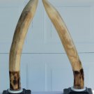 PAIR OF REALISM FAUX ART ELEPHANT NEUTRAL WOOD CARVINGS 33" 6LBS EACH