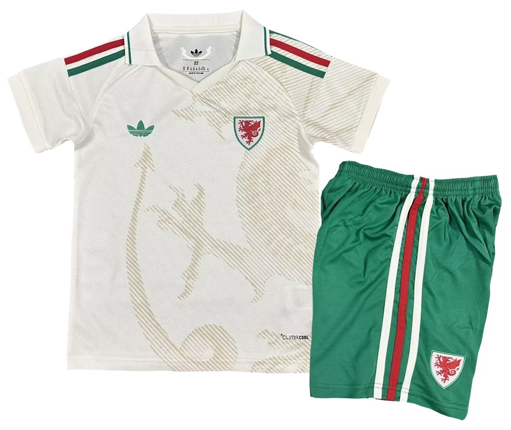 Kids Wales Away World Cup Shirt Jersey Kit 26-27 Youth Soccer Football 2026-2027