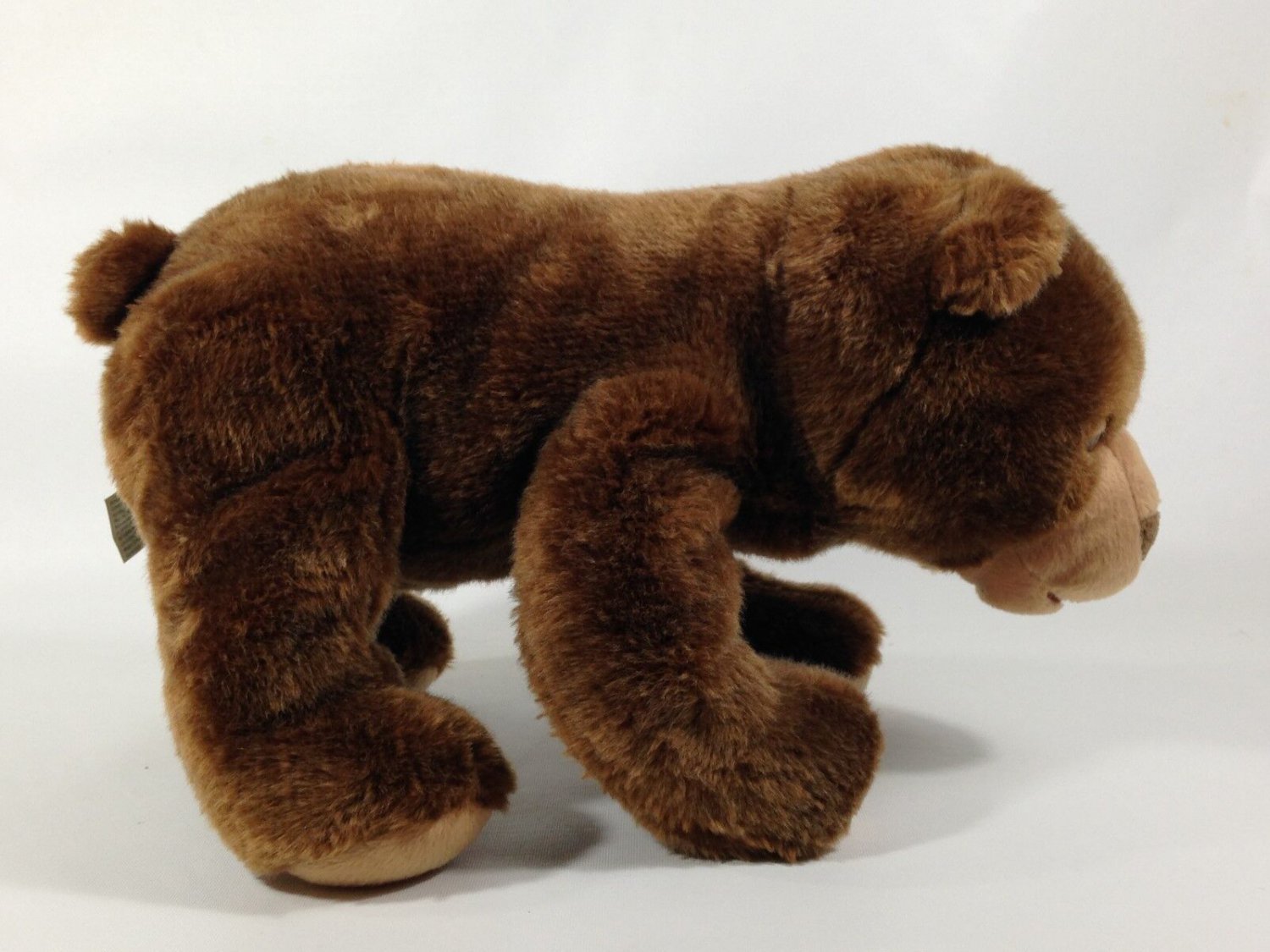 Eric Carle Brown Bear Story Book Character 2008 Kohls Cares Doll Plush 15"