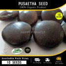 African Dream Sea Seed Entada Herb Kakkumkaya Rheedii Bean Pusaetha 10 Seeds
