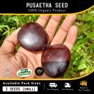African Dream Sea Seed Entada Herb Kakkumkaya Rheedii Bean Pusaetha 2Pcs Ceylon