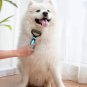 Bonve Pet Brush Pet Rake