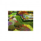 Wooden Photo Puzzle(120 Pieces) Artist Samuel Gillis P3