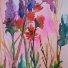 Hummingbird in Sunrise - Watercolor on Paper