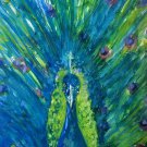 Peacock - Watercolor on Paper
