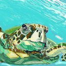 Set of 10 Artsy Sea Turtle Postcard