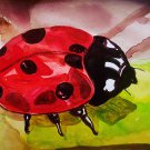 Set of 10 Artsy Ladybug Postcard