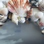 NEW HANDMADE SEASIDE OCEAN SEASHELL WREATH TURTLE BEACH WREATH