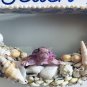 NEW HANDMADE SEASIDE OCEAN SEASHELL WREATH TURTLE BEACH WREATH