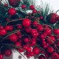 NEW HANDMADE GRAPEVINE RED BERRY NOEL CHRISTMAS WREATH