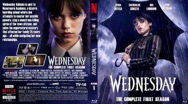 Wednesday Complete Season 1 - 2 Disc Blu-Ray Set Region Free World Wide Play