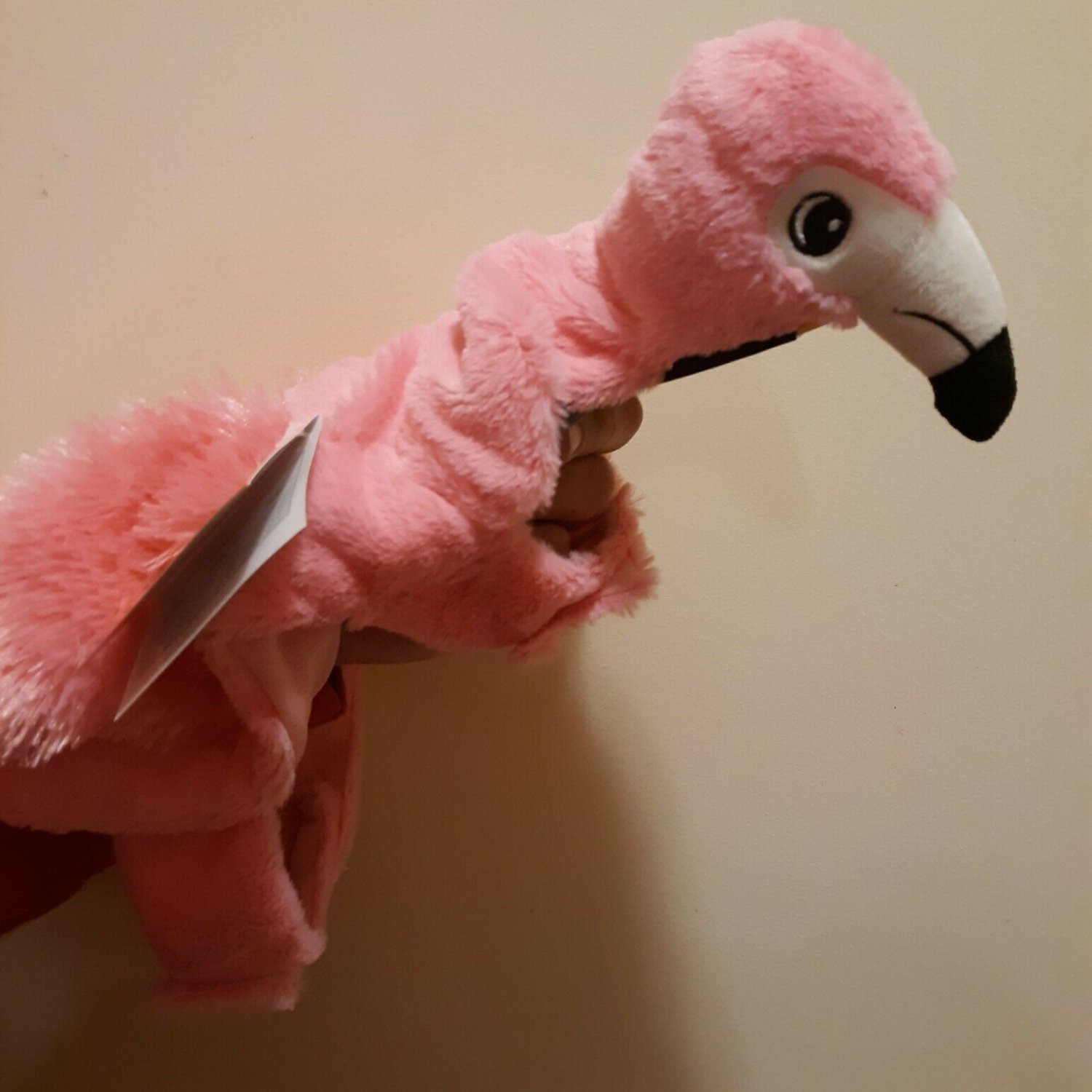 dog in flamingo float