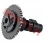 CFMoto CForce 625 Camshaft Assy 0GS0-024001