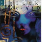 Black Orchid comic book collection Black Orchid comic book collection