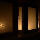Glowing Luminaries