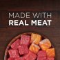 Purina ONE True Instinct Natural Wet Dog Food Gravy Beef and Salmon PACK of 12