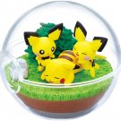 Pokeball Pokemon Terrarium Pikachu Pichu Mini Figure