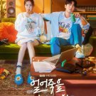 Love Is For Suckers Korean Drama DVD All Region with English Subtitles