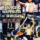 Avenging Warriors of Shaolin DVD