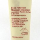 Clarins Hydrating Gentle Foaming Cleanser Normal to Dry Skin 4.2 oz