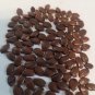 100+ Seeds Organic Leucaena Leucocephala seeds Lead Tree, River tamarind, Ipil-Ipil ,Home grown