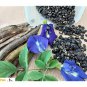 Dried butterfly blue Flower organic natural plant seed 25