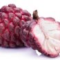 Rose Sugar Apple  Annona Squamosa Sweet Annona Plant Custard Sweet Fruit Plant 25 seeds