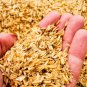 RICE HULLS HUSK DAHAIYA 100% NATURAL ORGANIC COMPOST Natural Husk Fertilizer100g