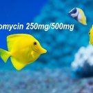 Fish Anti-biotics Fish Mycin 250mg / 5oomg 100Capsule