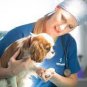 Antimicrobial wound heal Powder Treatment for Animals Pets First Aid 40g Regen Dusting Powder