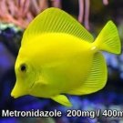 Fish Anti-biotics Zole & Zole Forte 200mg / 400mg