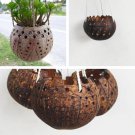 Coconut Shell Planter Natural Eco-Friendly Plant Pot Boho Home Decor Sustainable Garden Decor Indoor