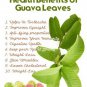 ORGANIC 100% DRIED GUAVA LEAVES Hojas De Guayaba herbal tea and skin care 250g