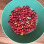 E Nova Fresh Seeds Ceylon Natural C.o.c.a Seeds