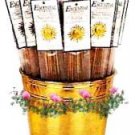 Mayan Temple Blend Escential Essences Stick Incense
